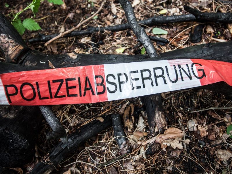 In einem Wald in Gifhorn wurde eine Leiche entdeckt. (Symbolbild)