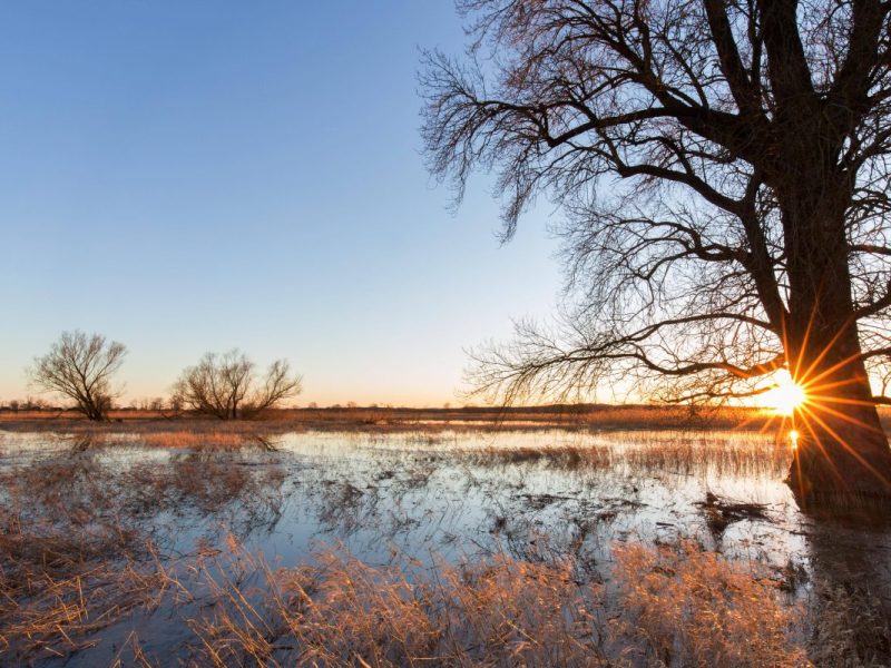 wetter niedersachsen