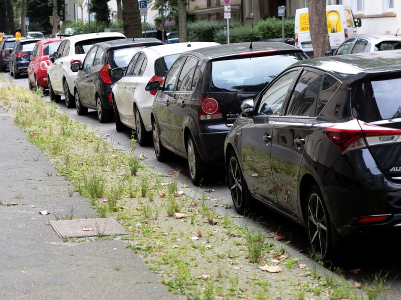 Parken in Braunschweig könnte bald sehr teuer werden. (Symbolbild)