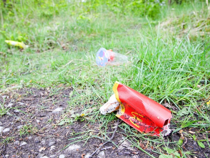 Eine leere rote Schachtel auf dem Waldboden