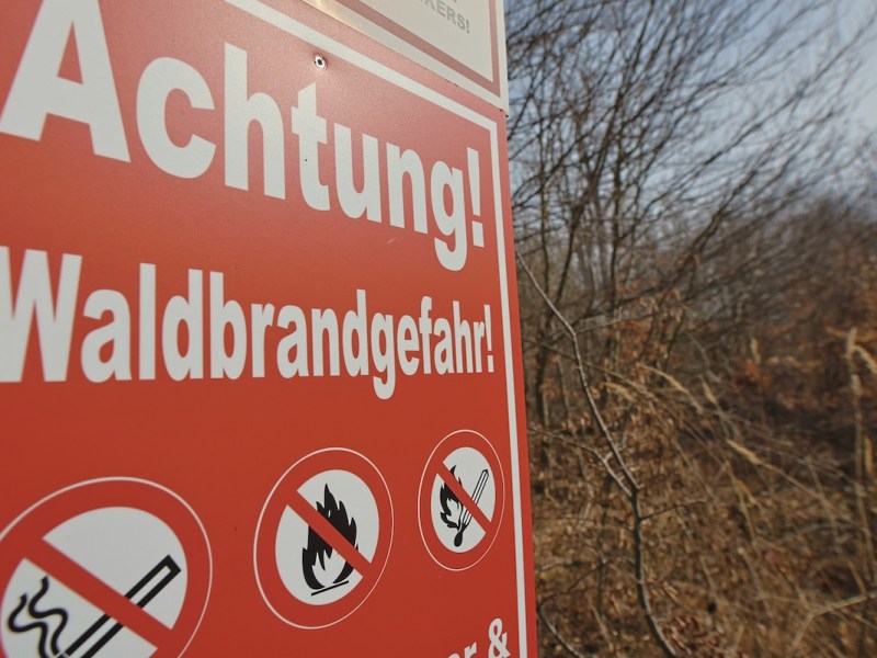 Harz waldbrandgefahr