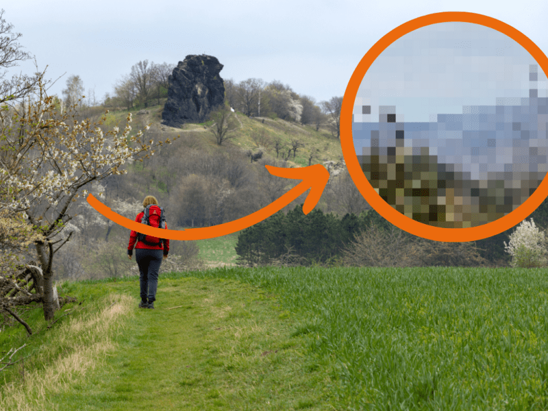 Im Harz hat es wieder gebrannt. Und das war nicht das erste Mal. (Archivbild)