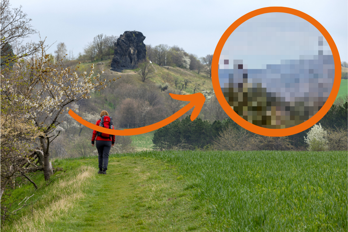 Im Harz hat es wieder gebrannt. Und das war nicht das erste Mal. (Archivbild)