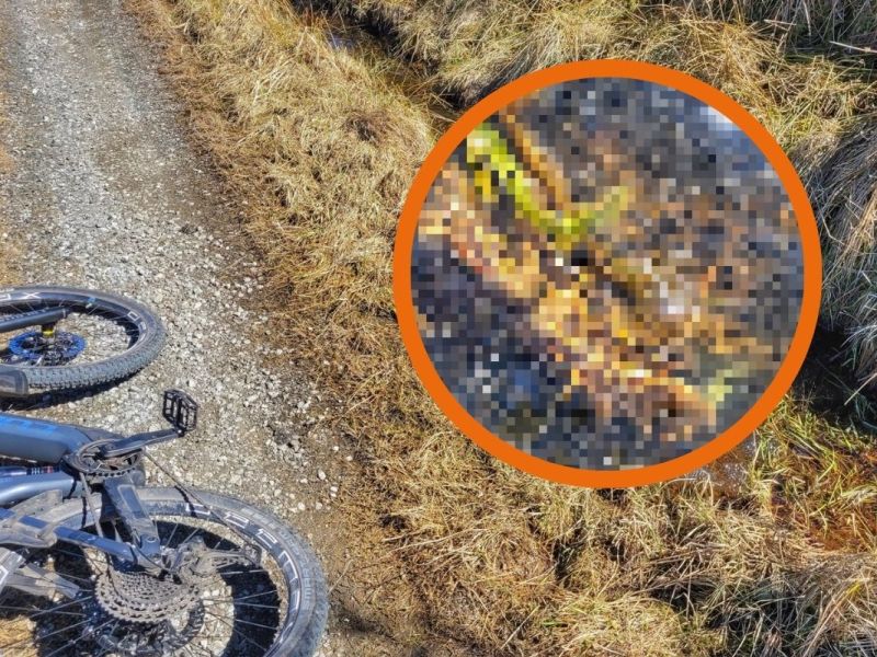 Im Harz machte ein Mann eine überraschende Entdeckung am Wegrand. Dabei ist die Stelle gar nicht so unüblich für einen solchen Fund.