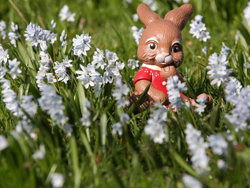 Es bleibt spannend: Wie wird das Wetter in Niedersachsen zu Ostern?