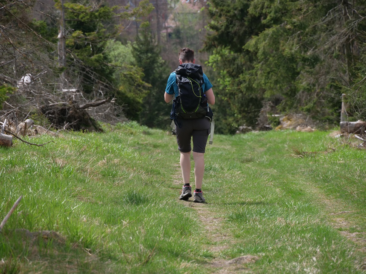 Ein Wanderer im Harz eine besondere Begegnung gemacht. (Symbolbild)