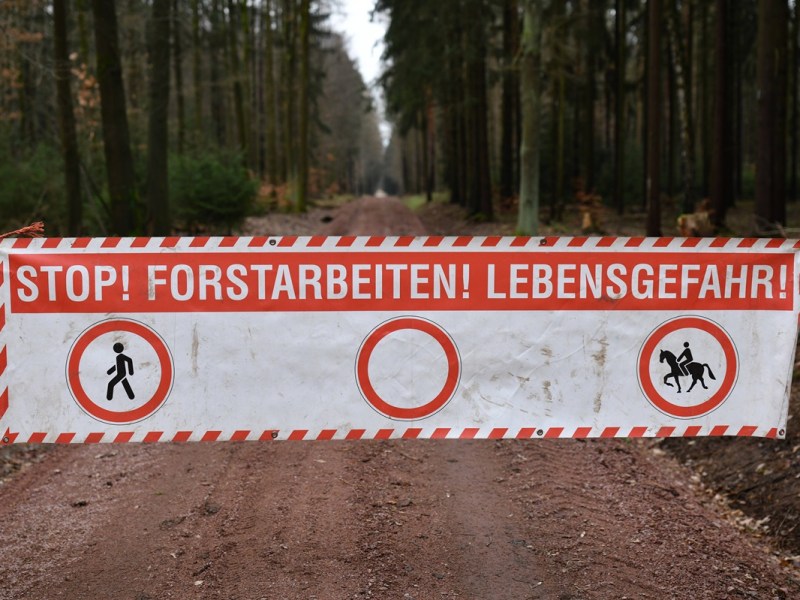 Im Ilsetal im Harz muss gebaut werden. (Symbolbild)