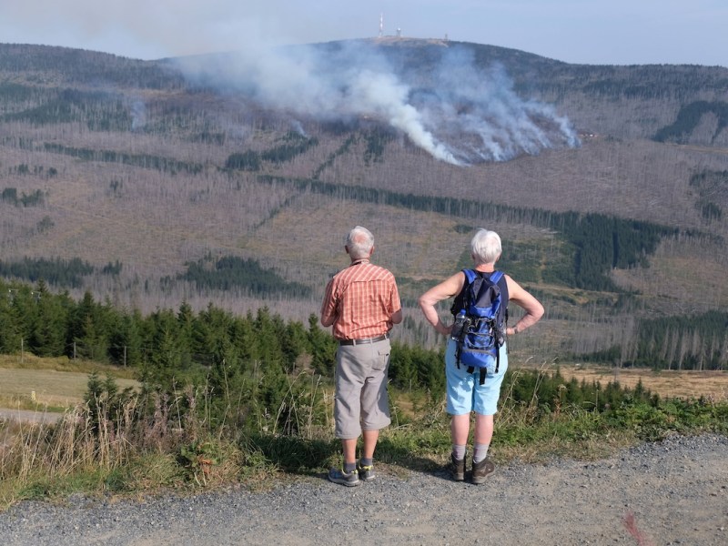 Großfeuer im Harz 2024