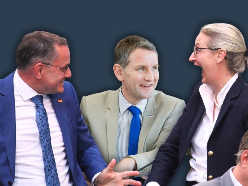 Im Bundestag wird nicht nur debattiert – bei der AfD wird gelacht, geklatscht und kalkuliert. Ein Journalist deckt auf, wie gezielte Emotionen zur Radikalisierung beitragen.