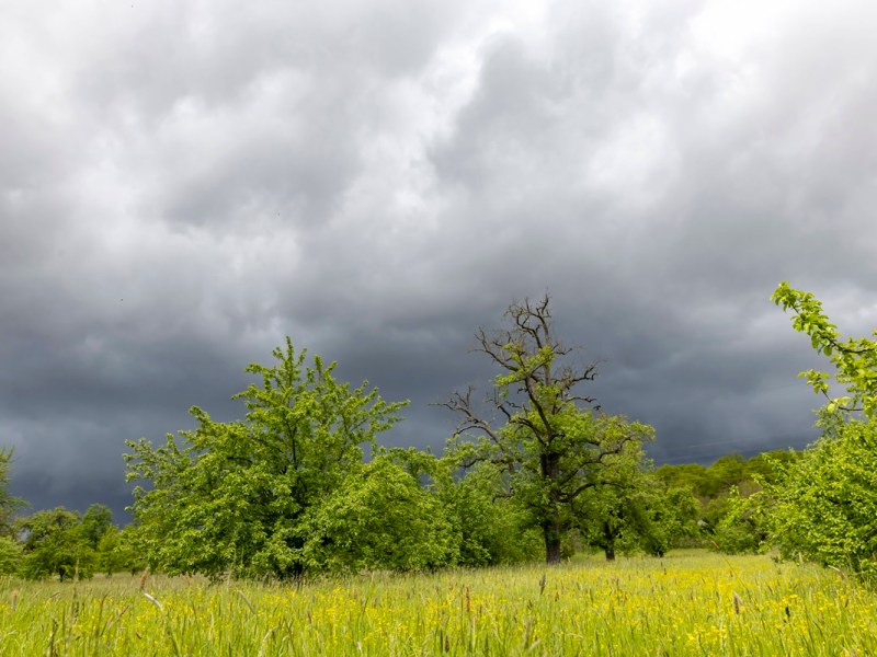Regenwolken über einem Feld
