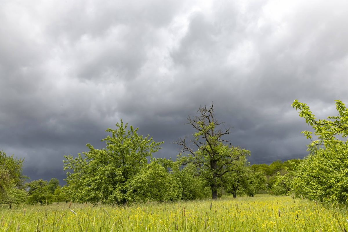 Regenwolken über einem Feld