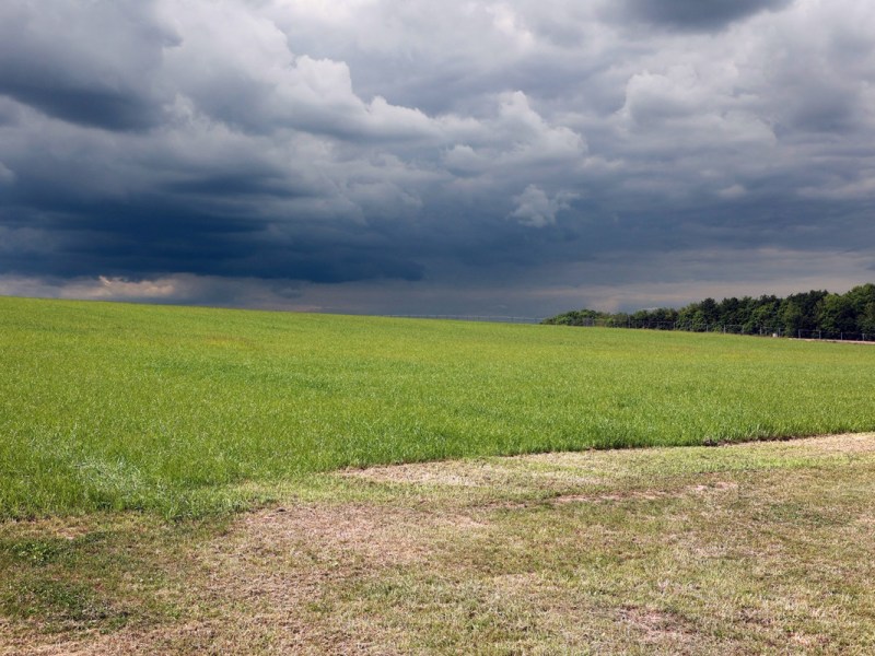 Regenwolken über einem Feld