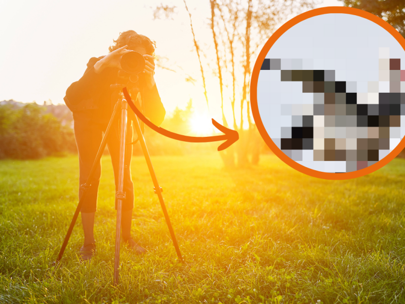 Eine Fotografin hat im Heidekreis eine heftige Situation festgehalten.