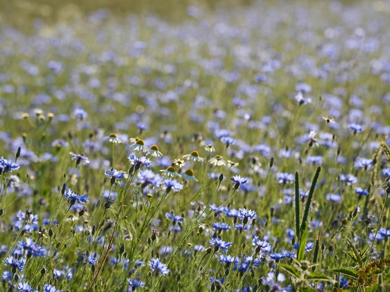 wetter thüringen